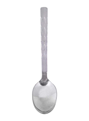 Raj 6-Piece Stainless Steel Symphoney Tea Spoon Set, SCTS04, Silver