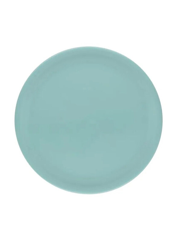 

Dinewell 10.5-inch Melamine Dinner Plate, DWP5107SB, Blue