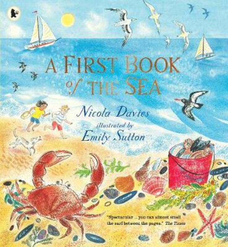 

A First Book of the Sea, Paperback Book, By: Nicola Davies