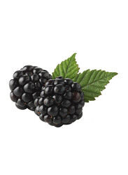 Blackberry, 1 Pack