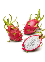 Dragon Fruit, 1 Pack