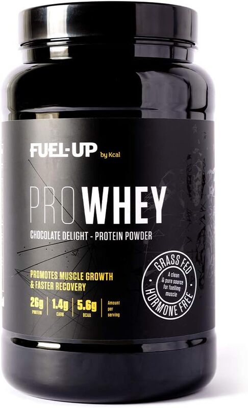 PROWHEY - Grass Fed and Hormone Free Whey Protein - 26g of protein per serving - Chocolate Delight - 2lb