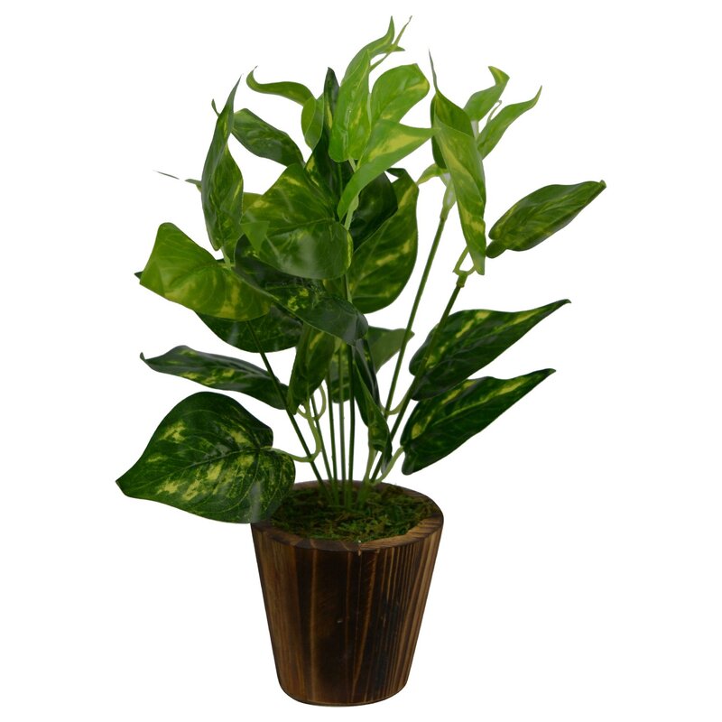 Fancy Mart Artificial Money Plant in Wood Round Small Pot, 20 x 20 x 30cm, Green
