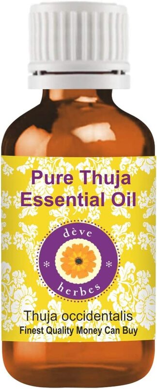 Deve Herbes Pure Thuja Essential Oil with 100% Natural Therapeutic Grade Steam Distilled for Personal Care, 30ml