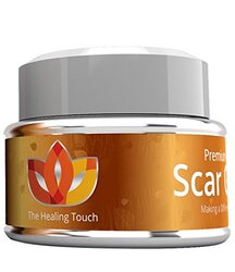 The Healing Touch Premium Scar Removal Gel, 1 Piece