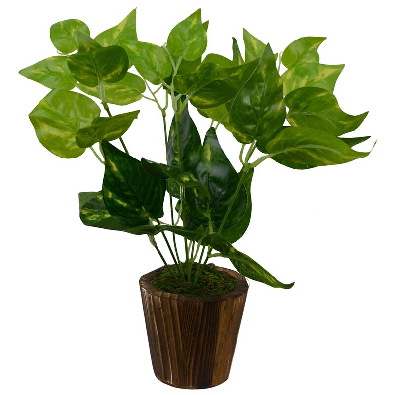Fancy Mart Artificial Money Plant in Wood Round Small Pot, 20 x 20 x 30cm, Green