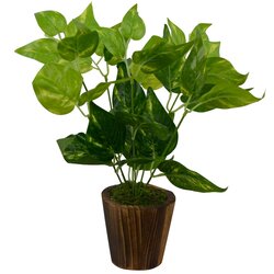 Fancy Mart Artificial Money Plant in Wood Round Small Pot, 20 x 20 x 30cm, Green