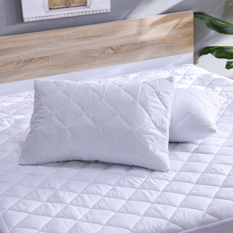 Danube Home 2-Piece Quilted Pillow Protector Pillow, White