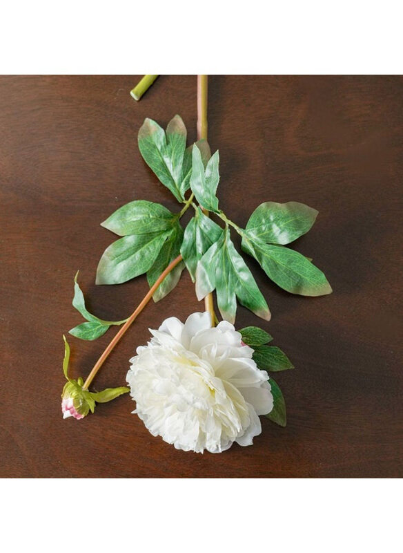

Danube Home Bloomvogue Artificial Penony Flowers, 85cm, White
