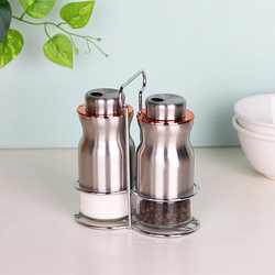 Danube Home 2-Piece Adrian Glass & Metal Spice Jar, 100ml, Silver