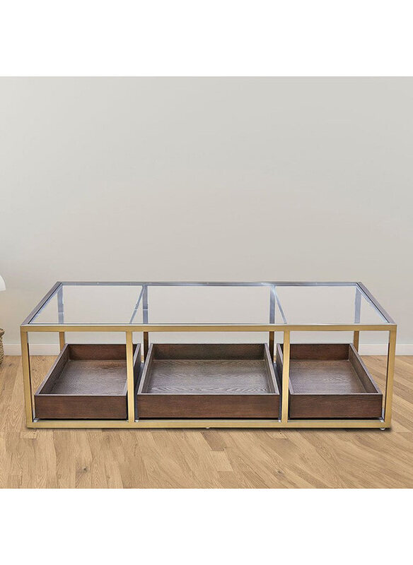 

Danube Home Lyon Glass Console Table, Multifunctional Living Room Table, Space Saving Center Table, Modern Design Furniture for Home, 150 x 80 x 44cm,