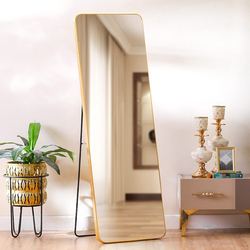 Danube Home Petite Standing Rectangular Frame Mirror, Multicolour