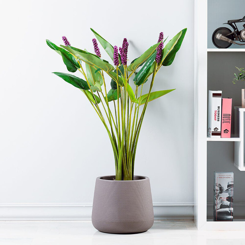 

Danube Home Pontederia Cordata With Pot, Green