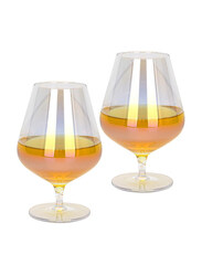 Danube Home 500ml 2-Piece Cognac Glass Set, Multicolour