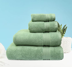 Danube Home Flossy Hand Towel, Light Green