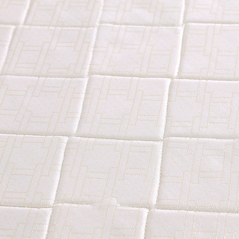 Danube Home Dream Spine Fit Foam Mattress, White