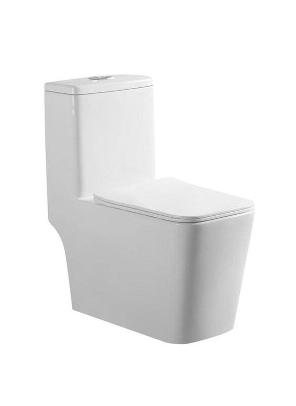 

Danube Home Wc 188 Pro One Piece Bathroom Fixtures, White