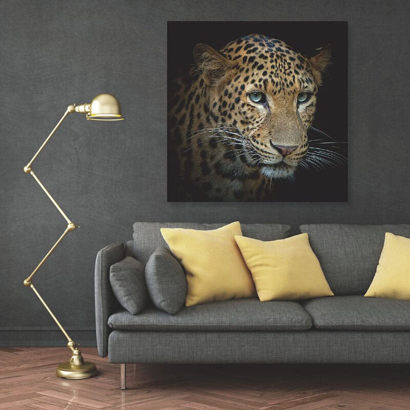 

Danube Home Diana Leopard Glass Wall Art, 80 x 80 x 0.4cm, Multicolour