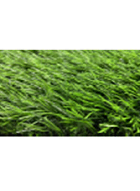 

Danube Home Ever Green Carpet, 30mm, Green