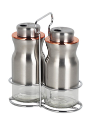 Danube Home 2-Piece Adrian Glass & Metal Spice Jar, 100ml, Silver