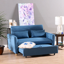 Danube Home Alpha 2 Seater Sofa Bed, Blue