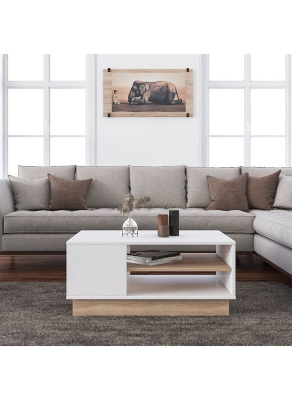

Danube Home Camillo High Gloss Centre Table, White/L.Oak