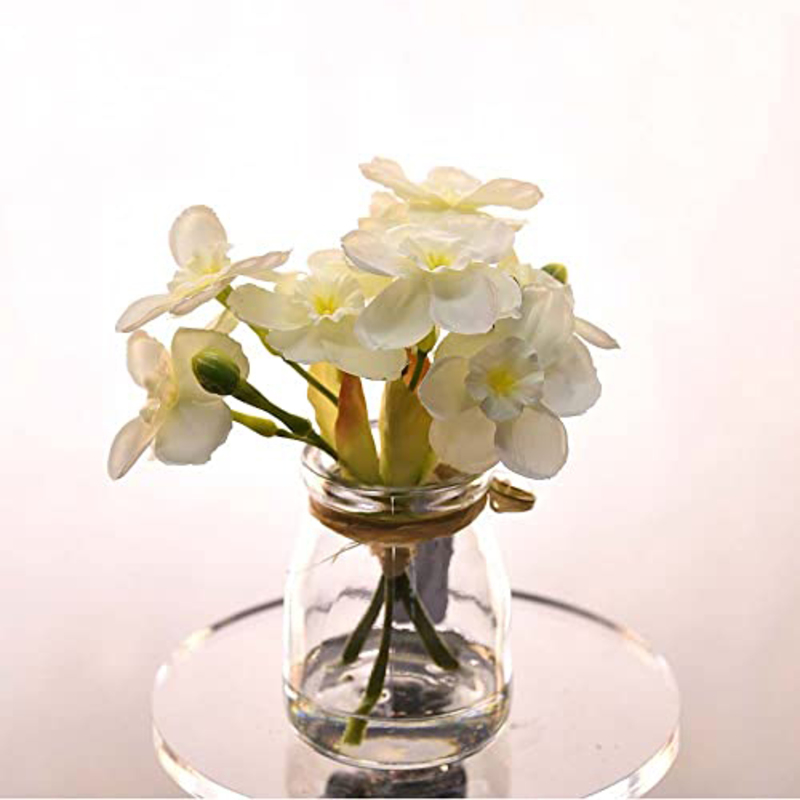 Danube Home Rejoice Narcissu Vase, White
