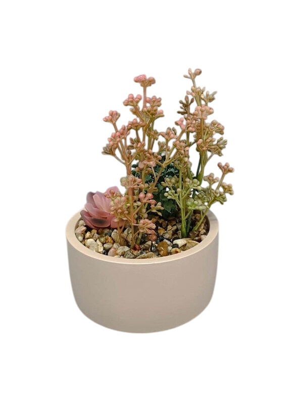 

Danube Home EC-Nomad Succulent Planter, White