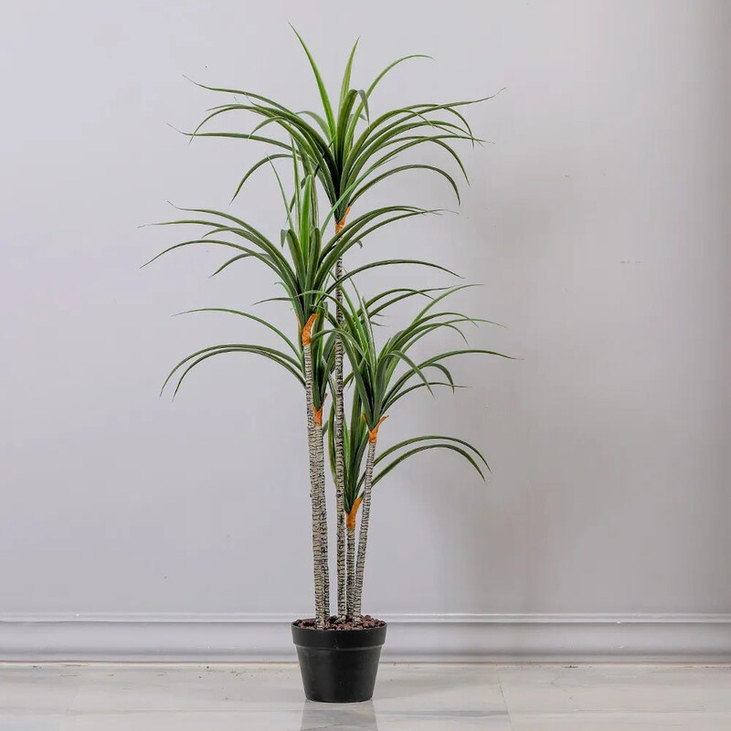 

Danube Home Artificial Dracaena Green with Pot, 130cm, Green