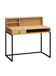 Danube Home Nasus Computer Office Desk Workstation with Storage, Oak