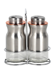 Danube Home 2-Piece Adrian Glass & Metal Spice Jar, 100ml, Silver