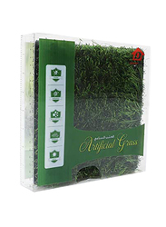 Danube Home Ever Green Grass Carpet, 40mm, Green