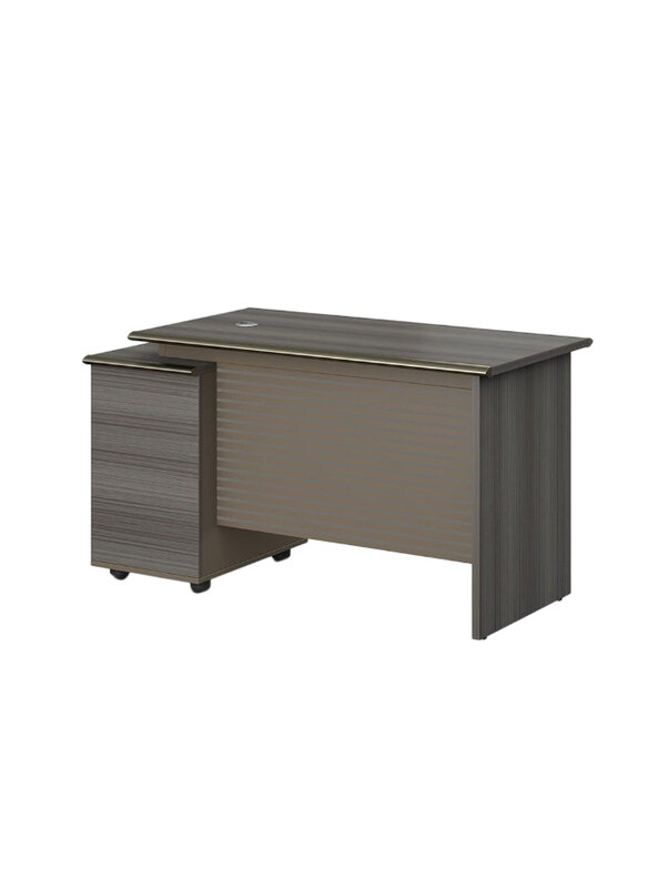 

Danube Home Eupen Computer Table Office Desk, Grey