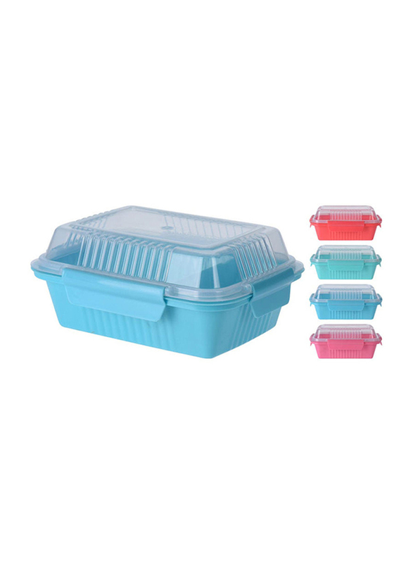 Danube Home Plastic Lunchbox, Multicolour