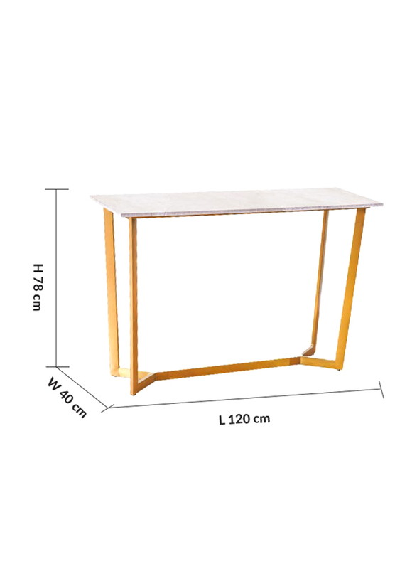 Danube Home Modern Design Beaver Console Table, Grey Marble/Brushed Gold