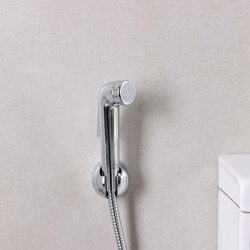 Danube Home Ideal Standard Acrylic Spray Shattaf, Silver