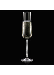 Danube Home 235ml 4-Piece Maison Forine Champagne Crystal Glass Set, Clear