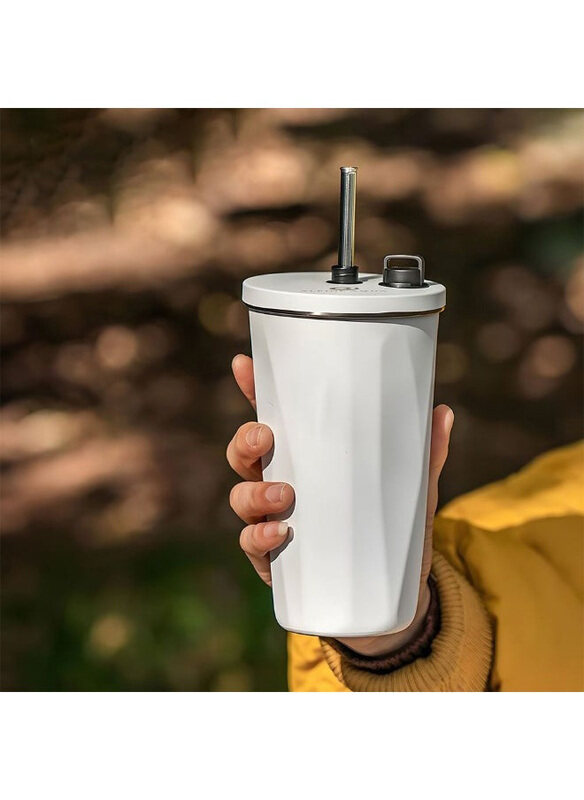 

Danube Home 600ml Alpine Aqua Travel Tumbler Stainless Steel Vacuum Insulated with Lid and Straw, White