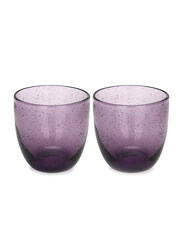 Danube Home 380ml 2-Piece Tumbler Glass Set, Multicolour