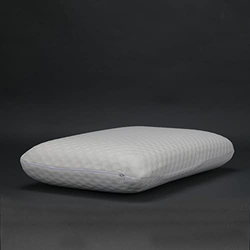 Danube Home Traditional Pillow, White