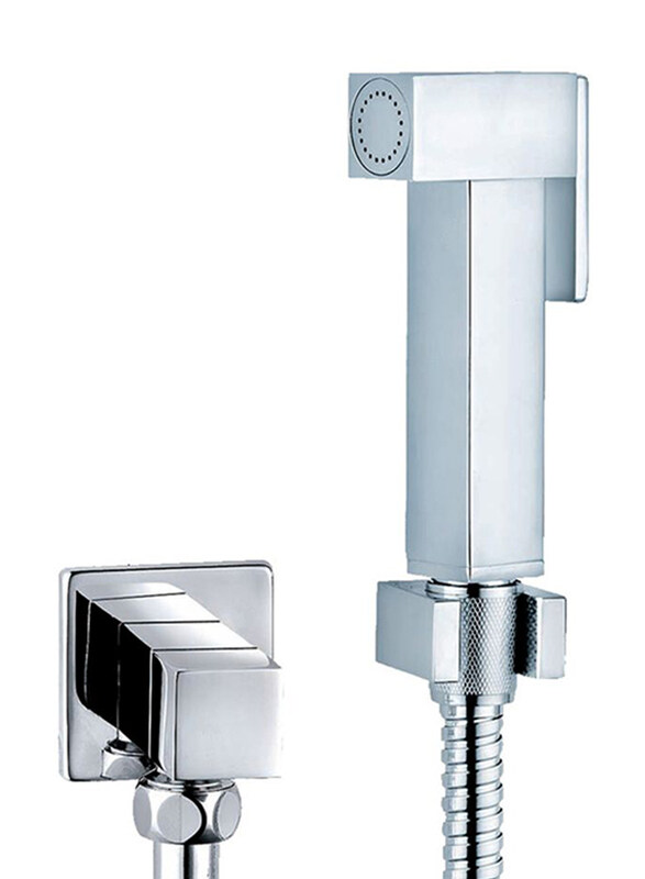 

Danube Home Decent Brass Shattaf Set With Angle Valve Kit, Silver
