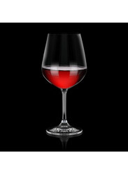 Danube Home 460ml 4-Piece Maison Forine Red Wine Crystal Glass Set, Clear
