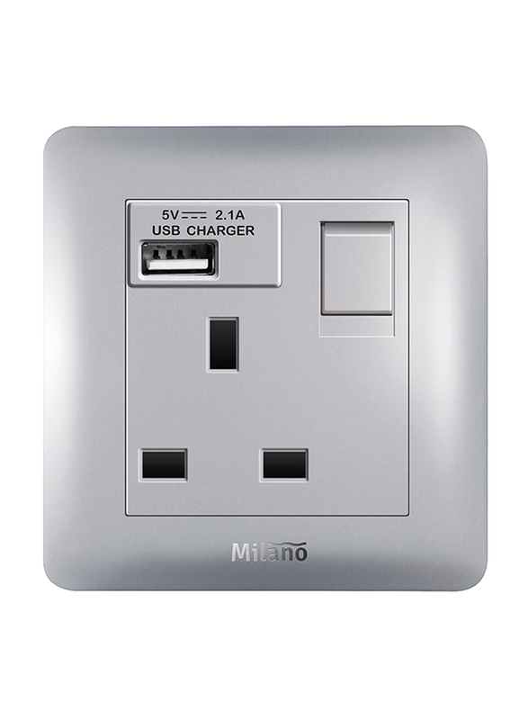 Milano 13A Single Switched Socket Neon Indicator With Usb Charger, Silver