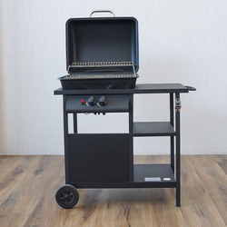 Danube Home 2 Burner Gas BBQ Grill with Wheels, Black