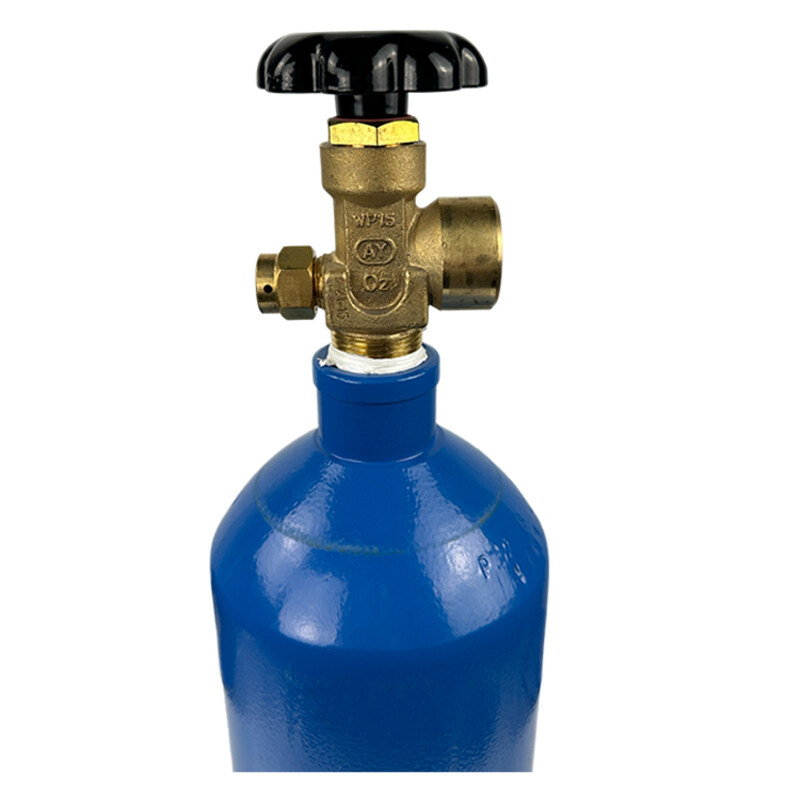 2L Oxygen Cylinder With Carry Bag