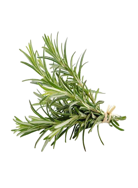 

Casinetto Fresh Rosemary Italy