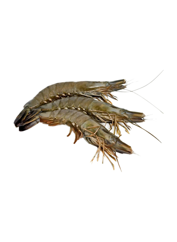 

Casinetto Frozen Small Whole Black Tiger Shrimp, 30-40 Piece, 1Kg