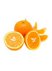 Casinetto Valencia Oranges Egypt