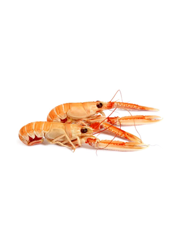 

Laeso Choice Langoustine From Denmark Frozen, 13 to 16 Pcs, 800g