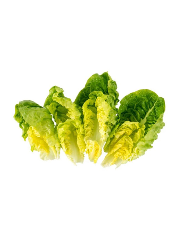 

Casinetto Lettuce Little Gem Spain, 500g